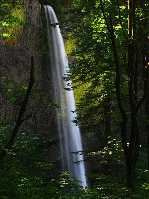 Waterfall photo by Mark Alexander